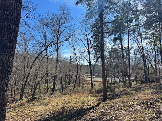 Anderson County Rd #319 Frankston, TX 75763 - Thumbnail 4