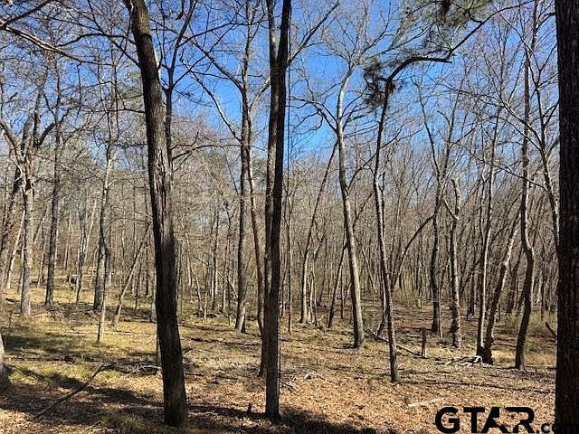 0 An County Rd #319 Frankston, TX 75763 - Thumbnail 4