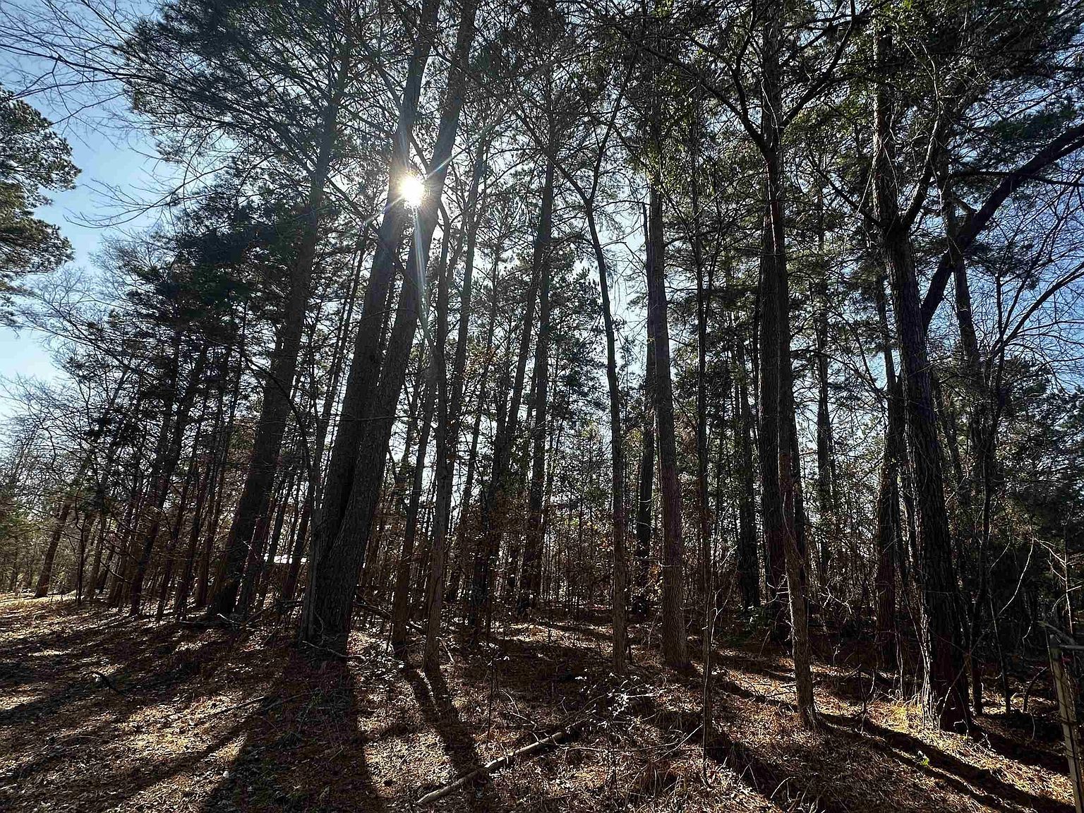 163 San Marcos St Bullard, TX 75757 - Thumbnail 4