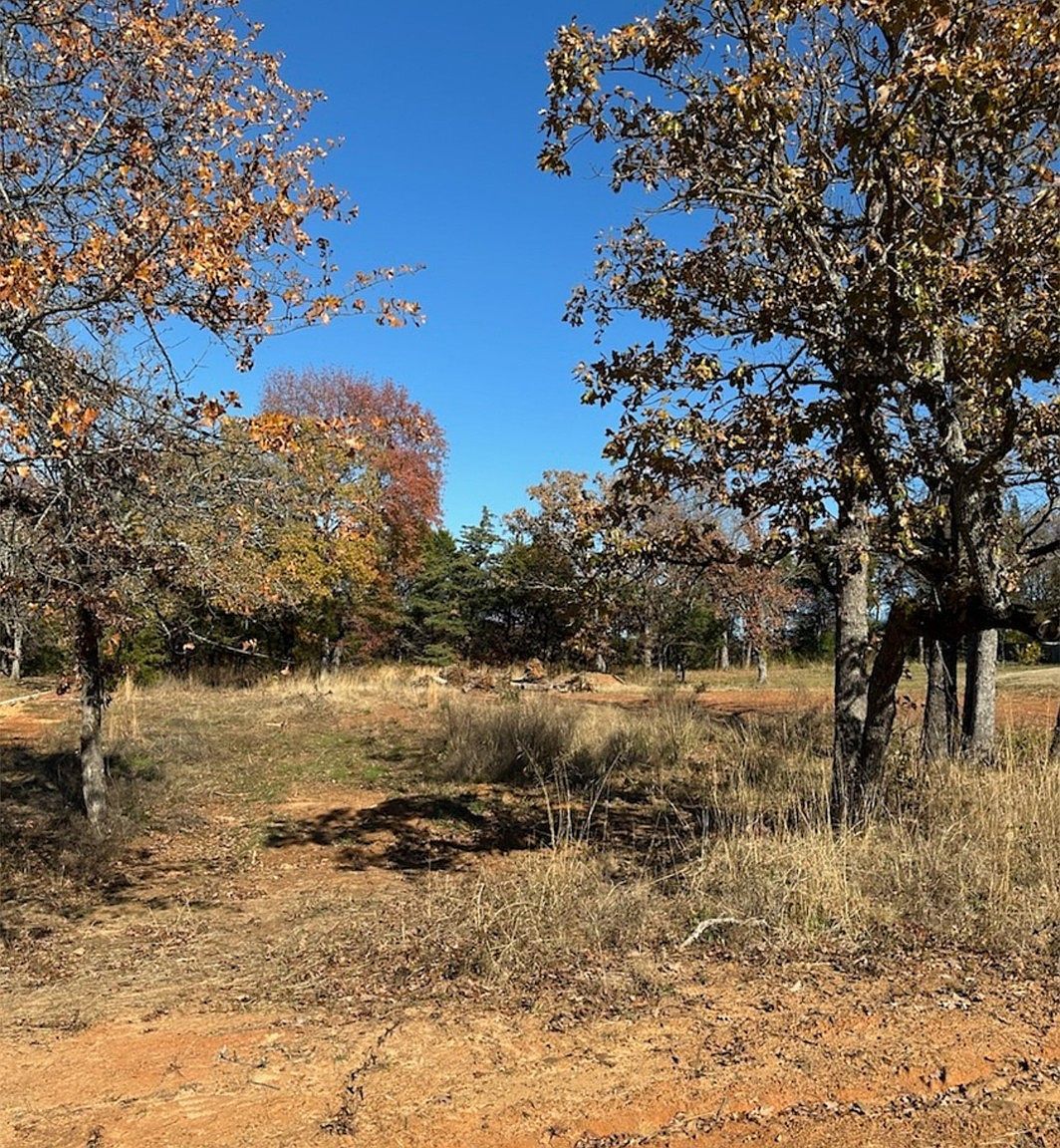 19668 Dove Ridge Ln Lindale, TX 75771 - Thumbnail 4