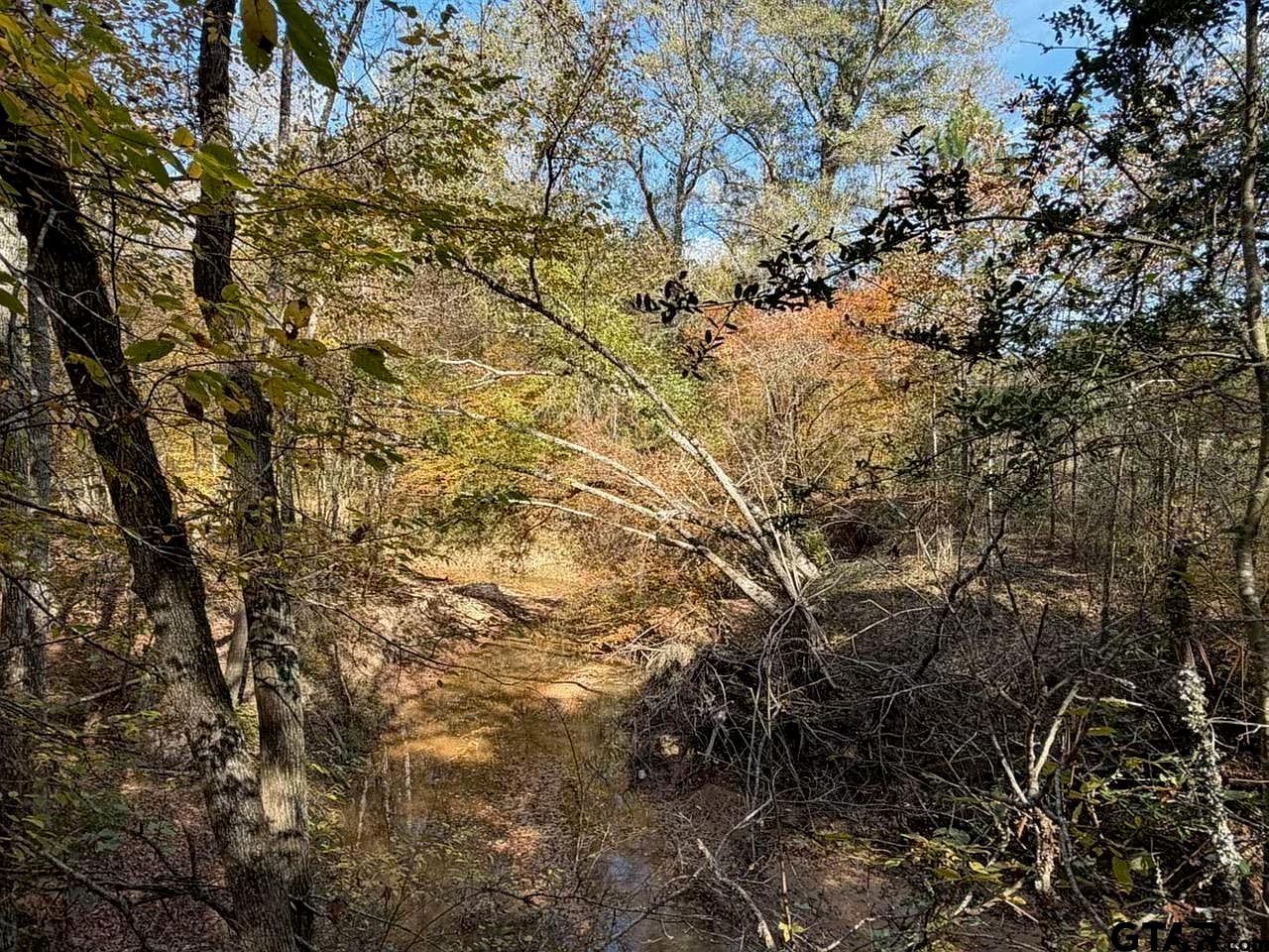 23791 State Highway 64 E #E Troup, TX 75789 - Thumbnail 4