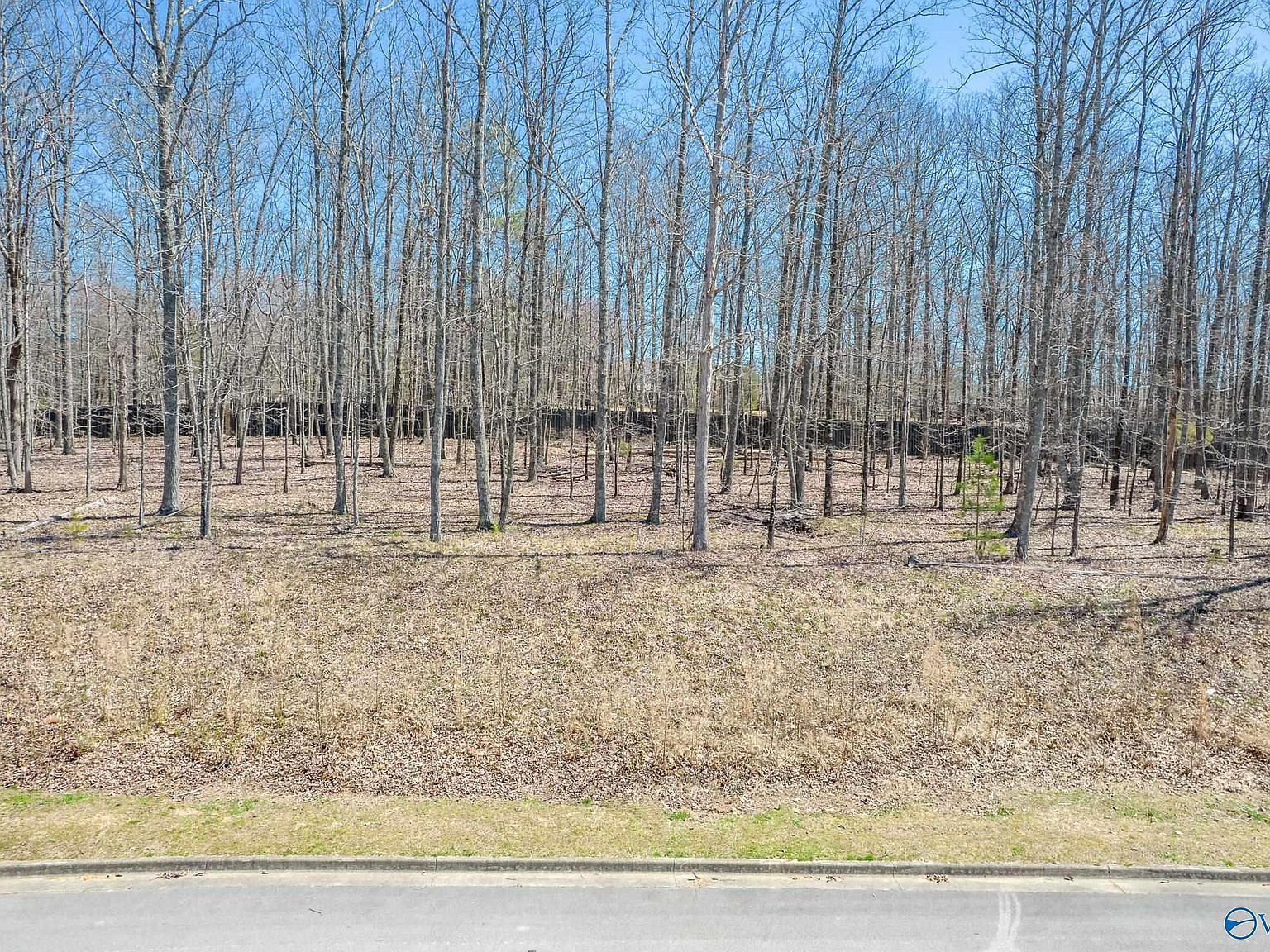 11 Winter Walk Way SE Huntsville, AL 35803 - Thumbnail 4