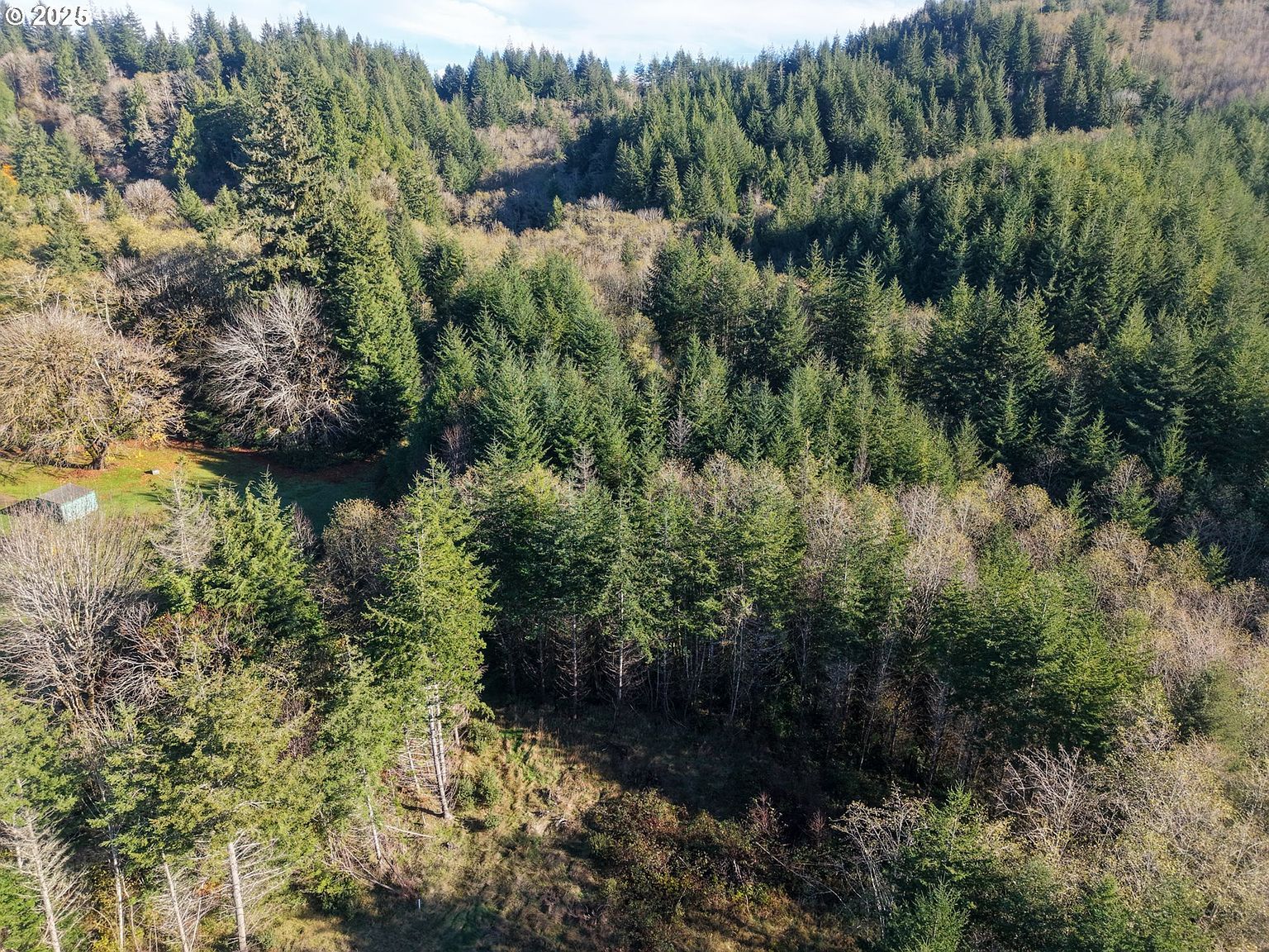 19 Pierson Rd #1421 Coos Bay, OR 97420 - Thumbnail 4