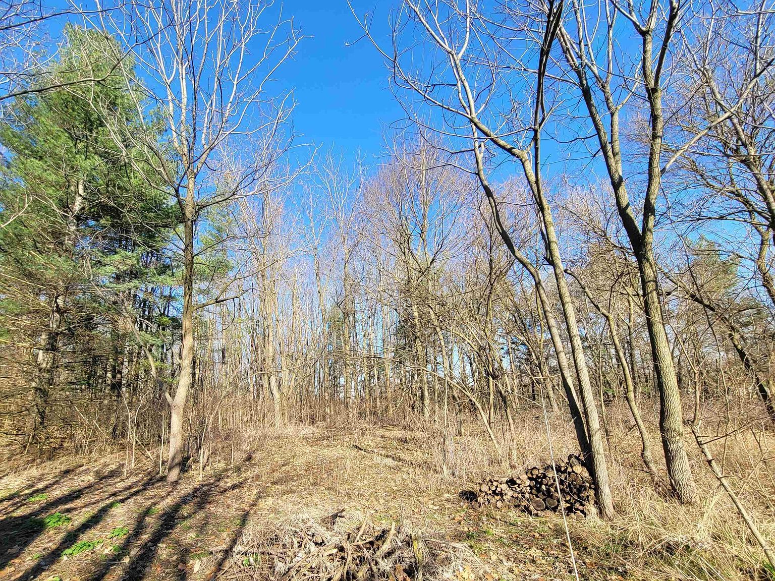 404 S Jefferson St Silver Lake, IN 46982 - Thumbnail 4