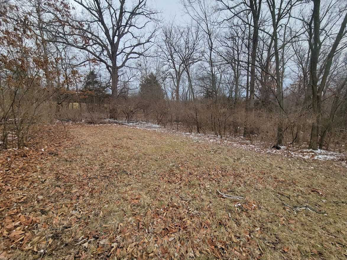 740 Peine Road, Wentzville, MO, USA, 63385 - Thumbnail 4