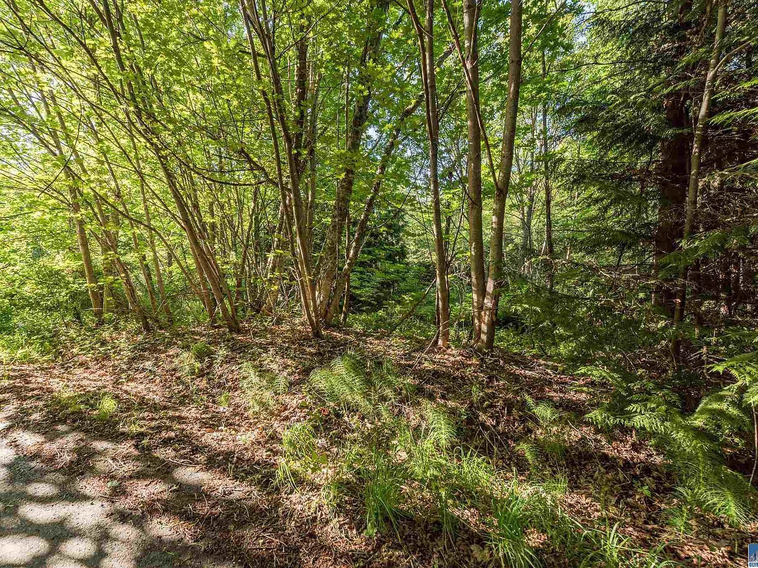 9999 Elk Pass Rd Sequim, WA 98382 - Thumbnail 4