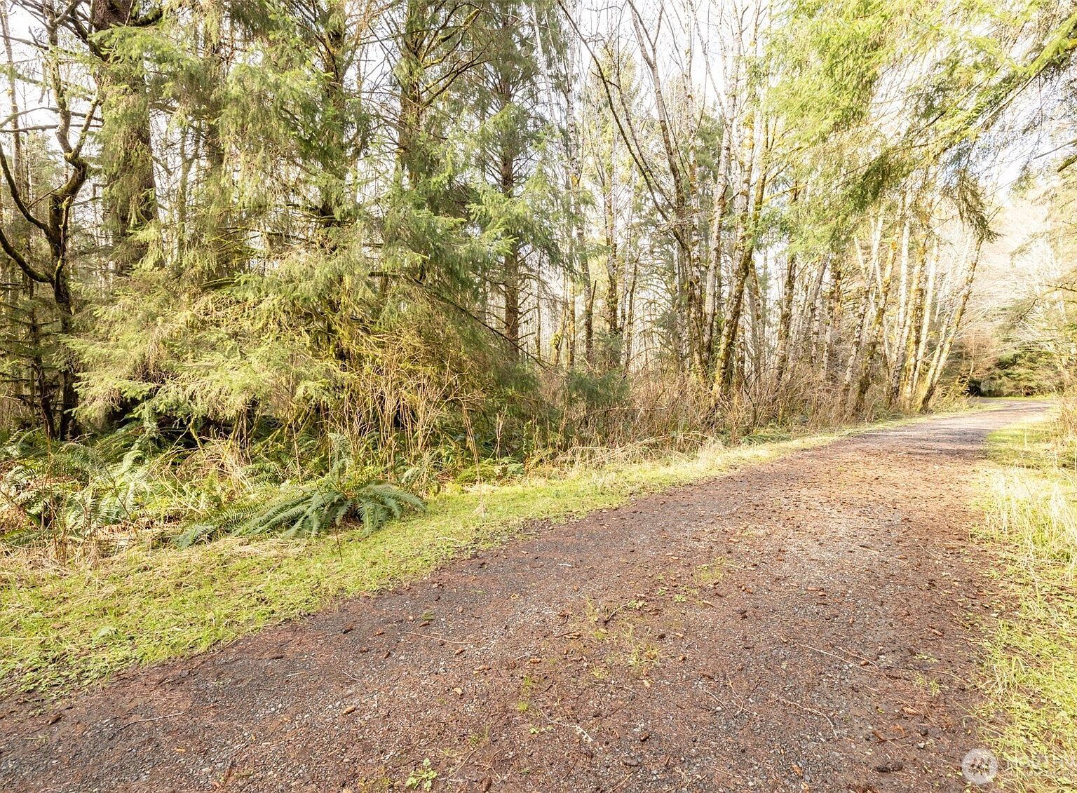 1 SW Amp Rdg Sekiu, WA 98381 - Thumbnail 4