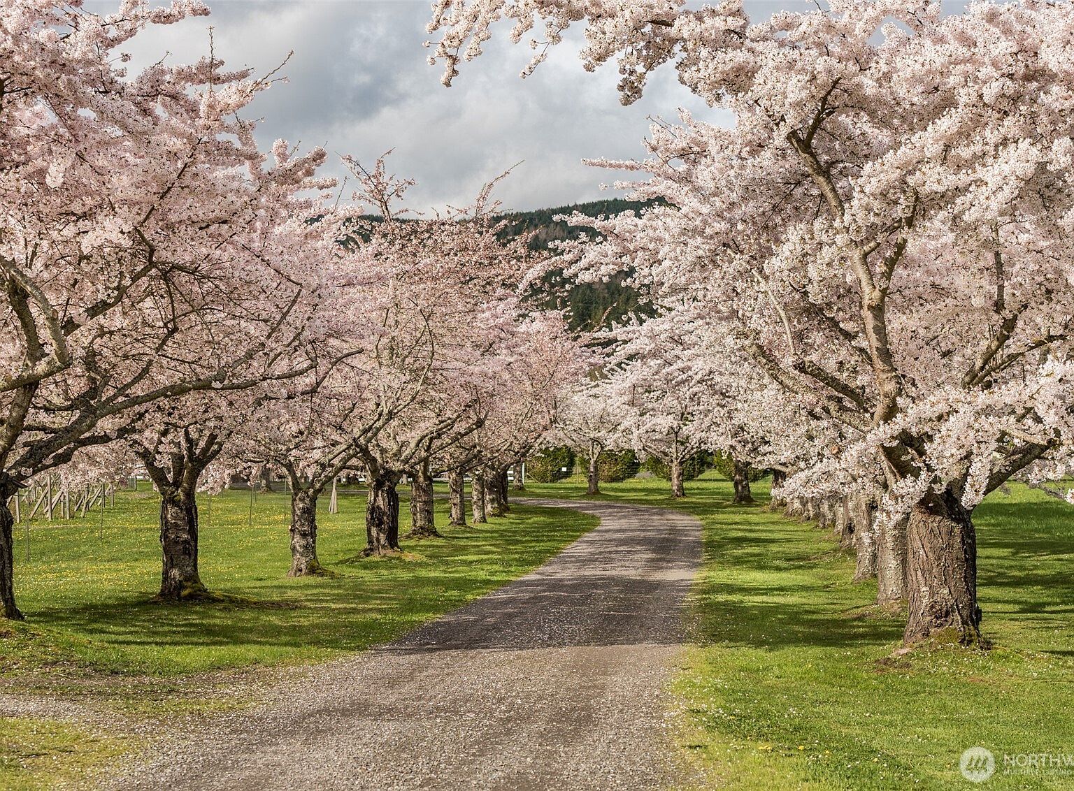 231 River Run Rd Sequim, WA 98382 - Thumbnail 4