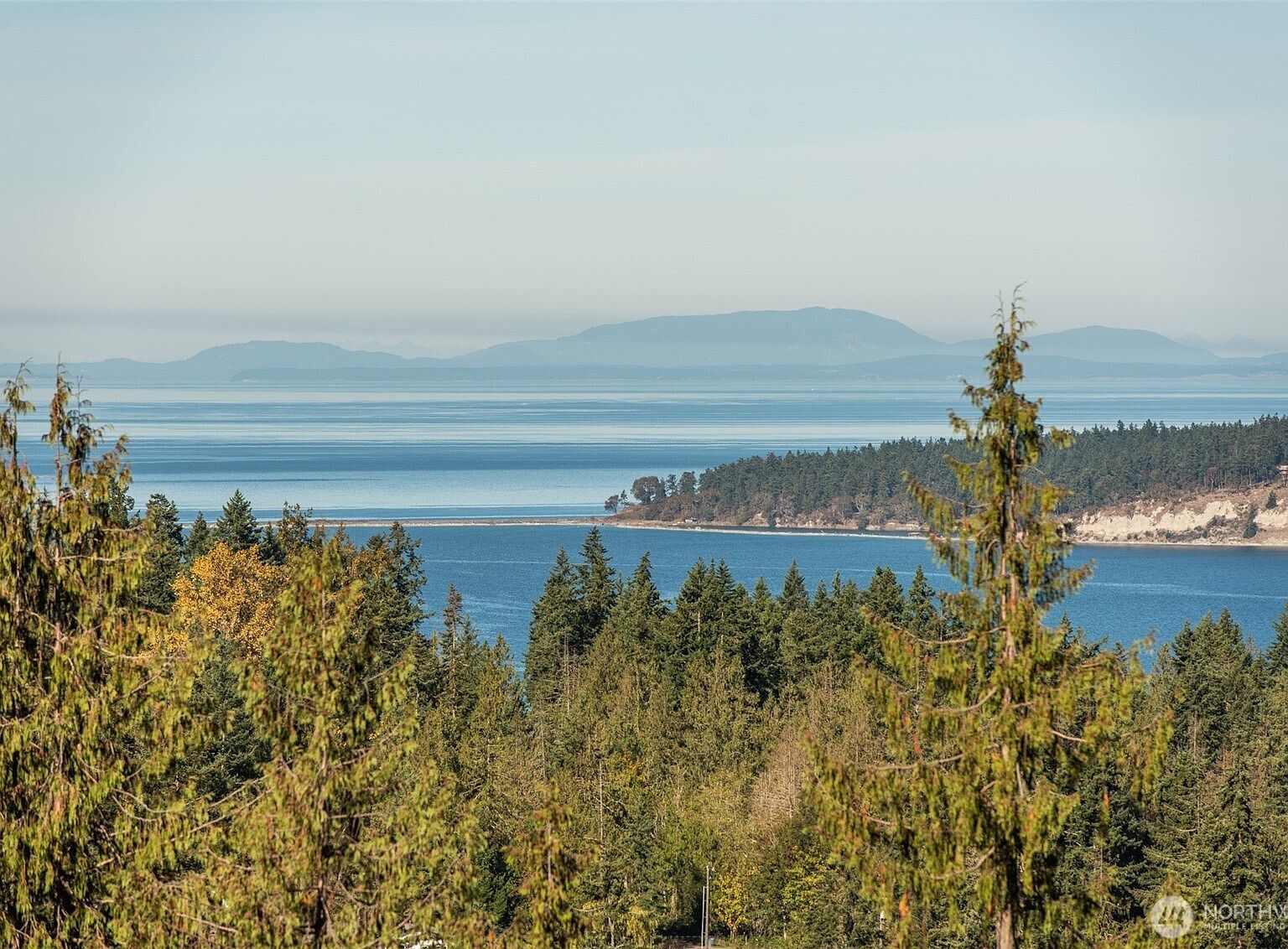 337 Louella Rd Sequim, WA 98382 - Thumbnail 4