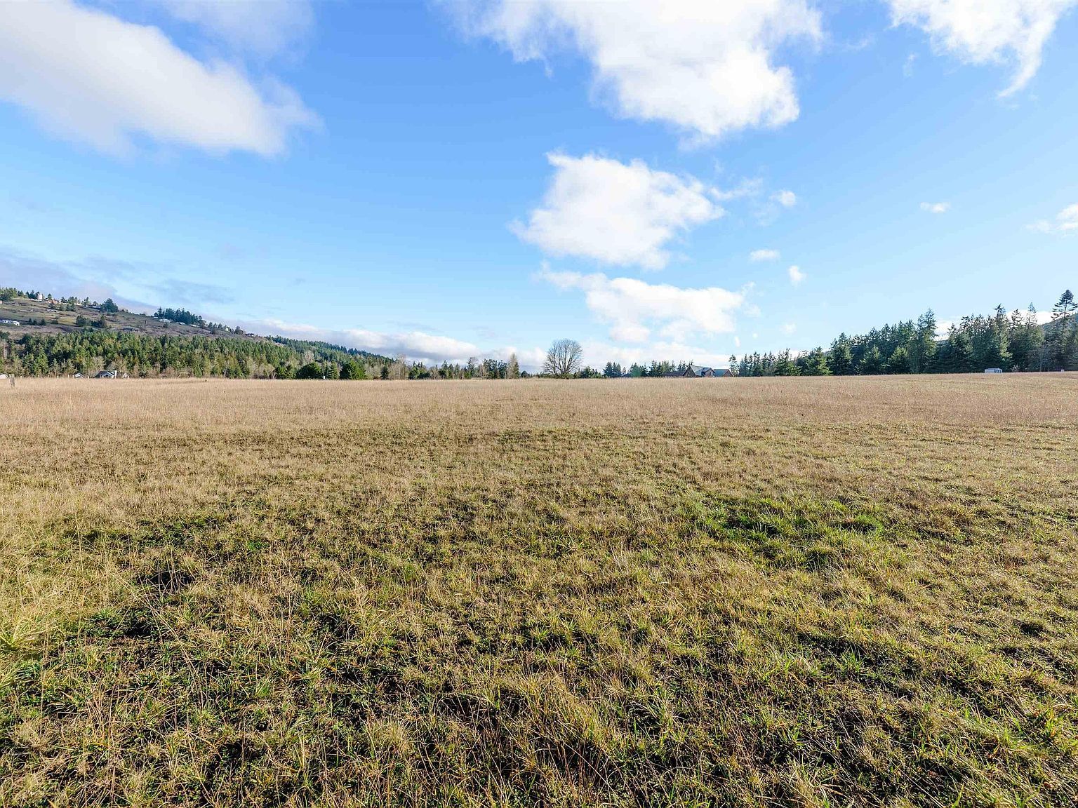 9999 Happy Valley Rd Sequim, WA 98382 - Thumbnail 4