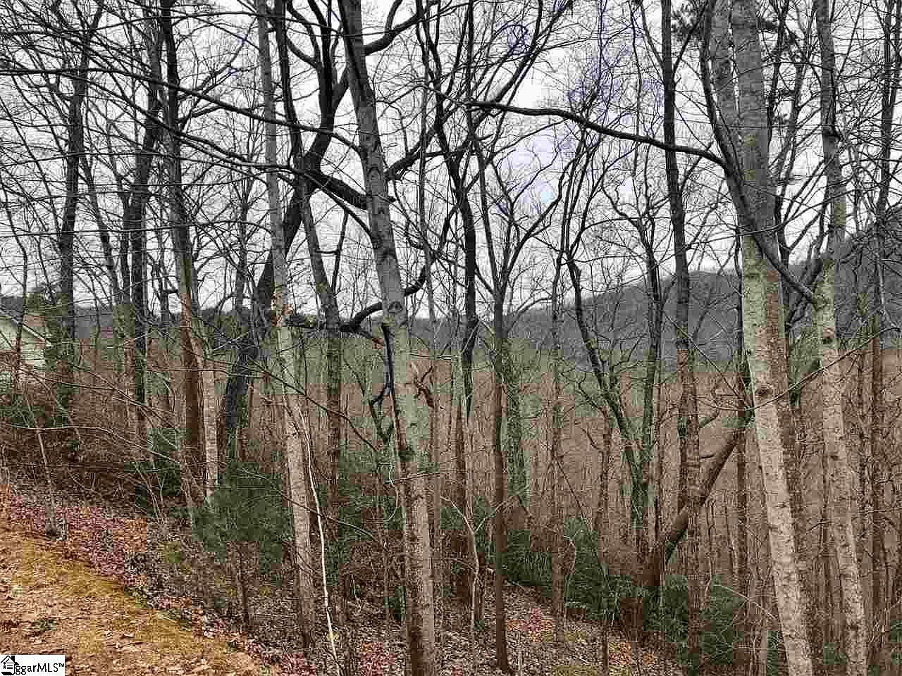 305 Sedgewick Rd Travelers Rest, SC 29690 - Thumbnail 4