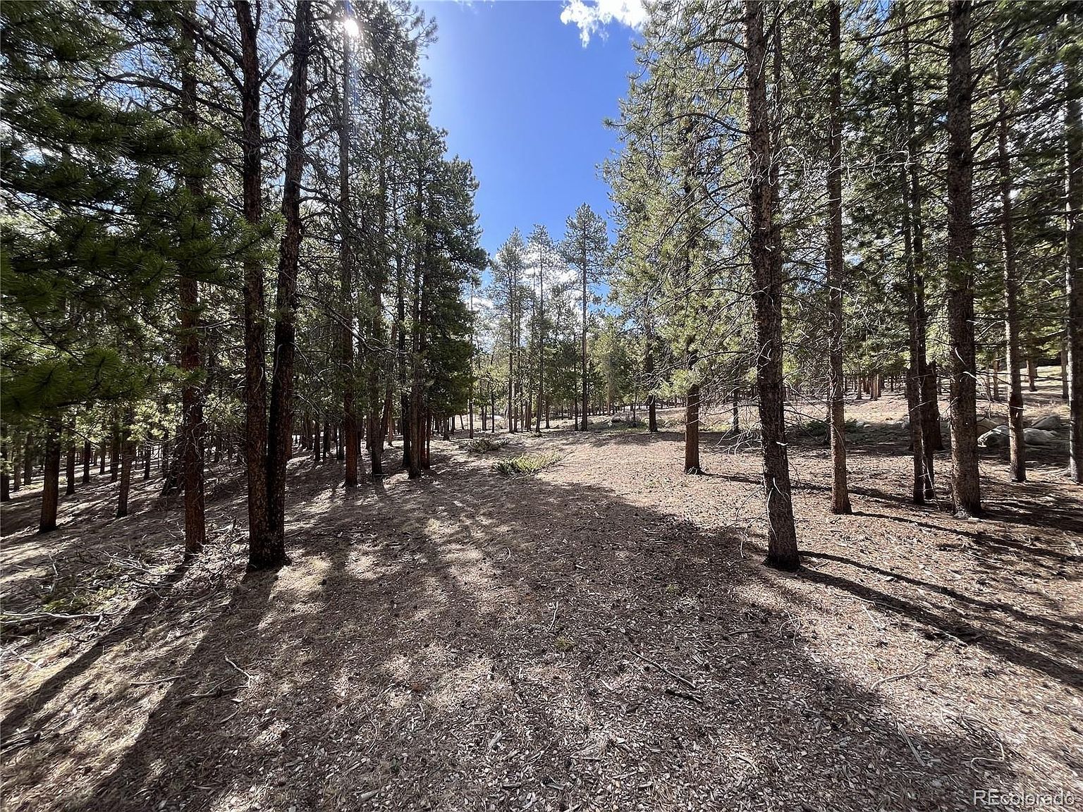 30336 National Forest Dr #21 Buena Vista, CO 81211 - Thumbnail 4