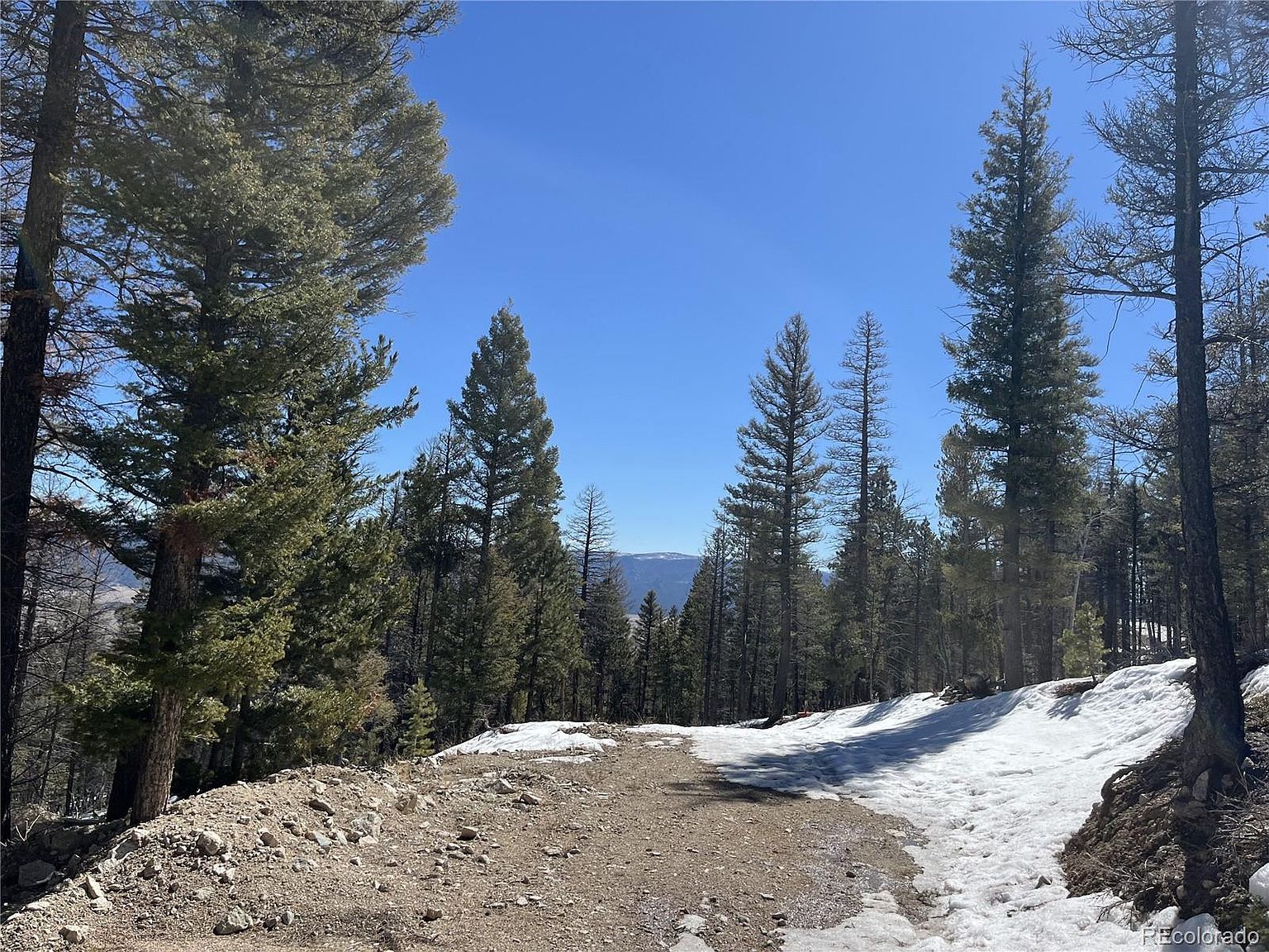 16872 County Road 325 Buena Vista, CO 81211 - Thumbnail 4