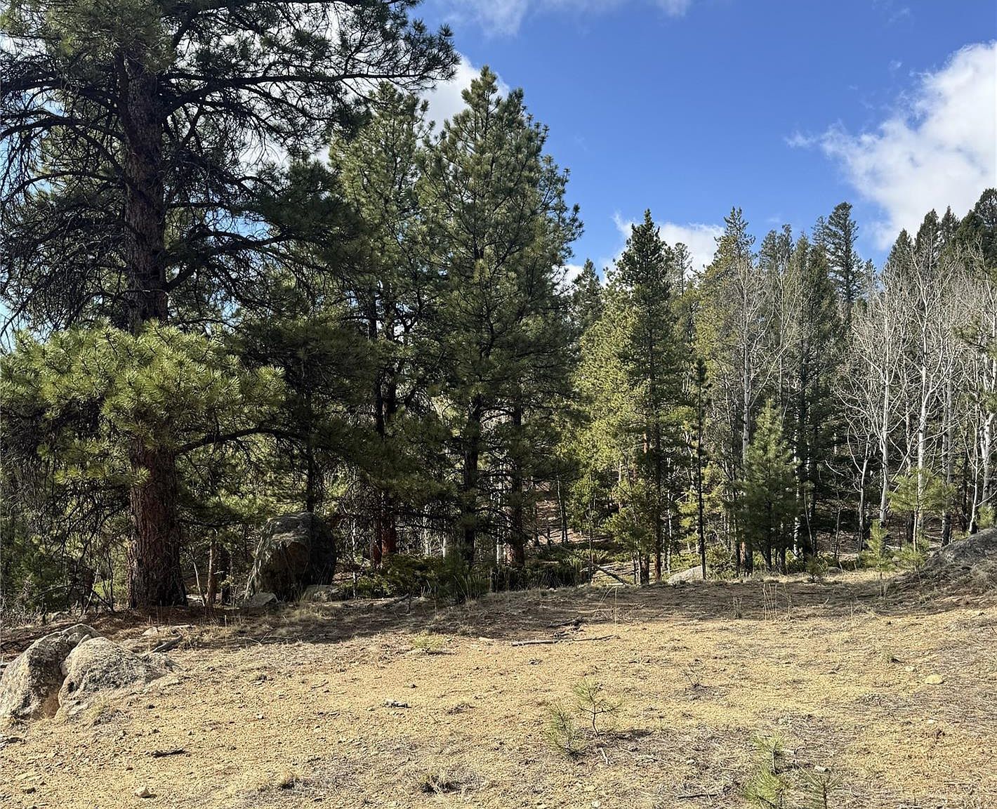 30317 Aspen Turn #26 Buena Vista, CO 81211 - Thumbnail 4