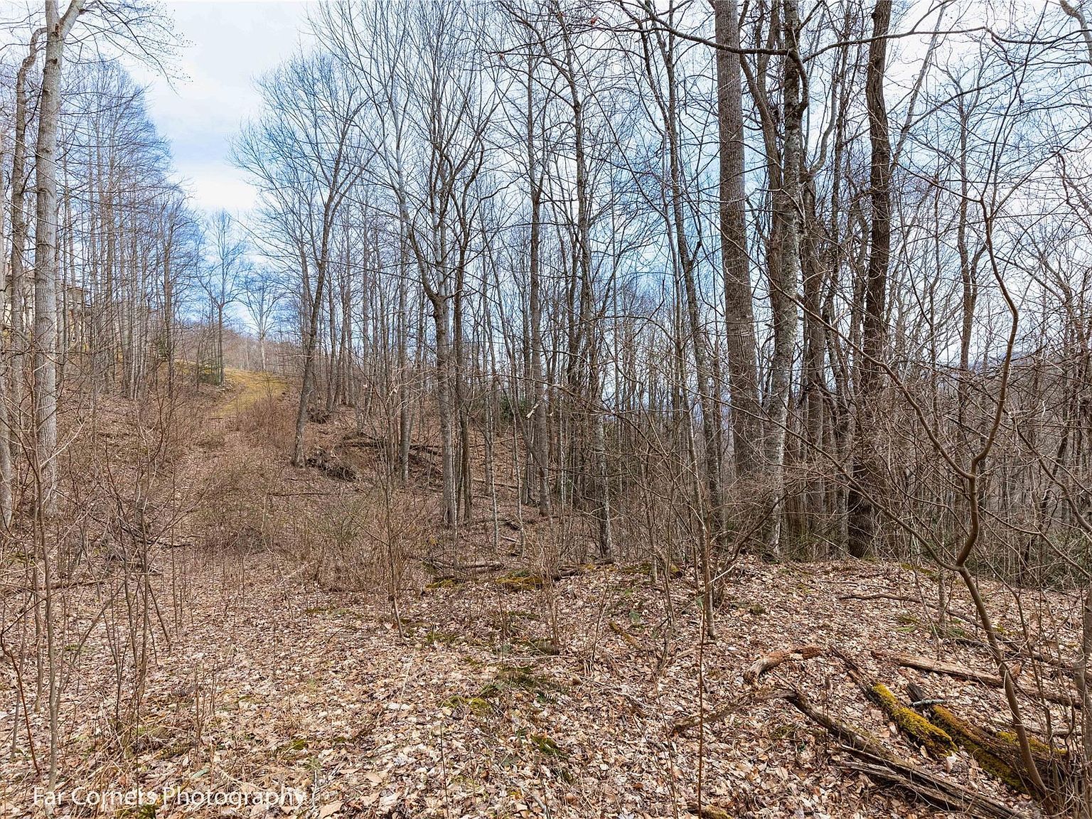 9 Chandra Ln Clyde, NC 28721 - Thumbnail 4