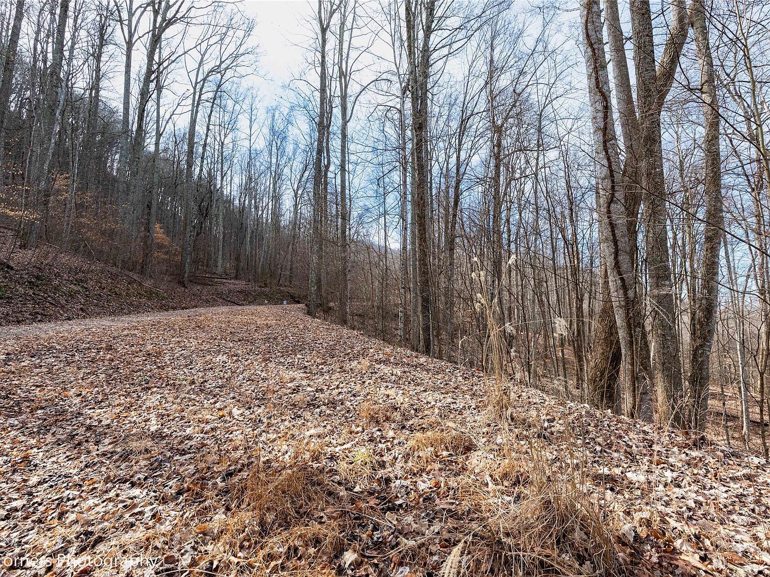 99999 Little Pond Pass #E21 Mars Hill, NC 28754 - Thumbnail 4