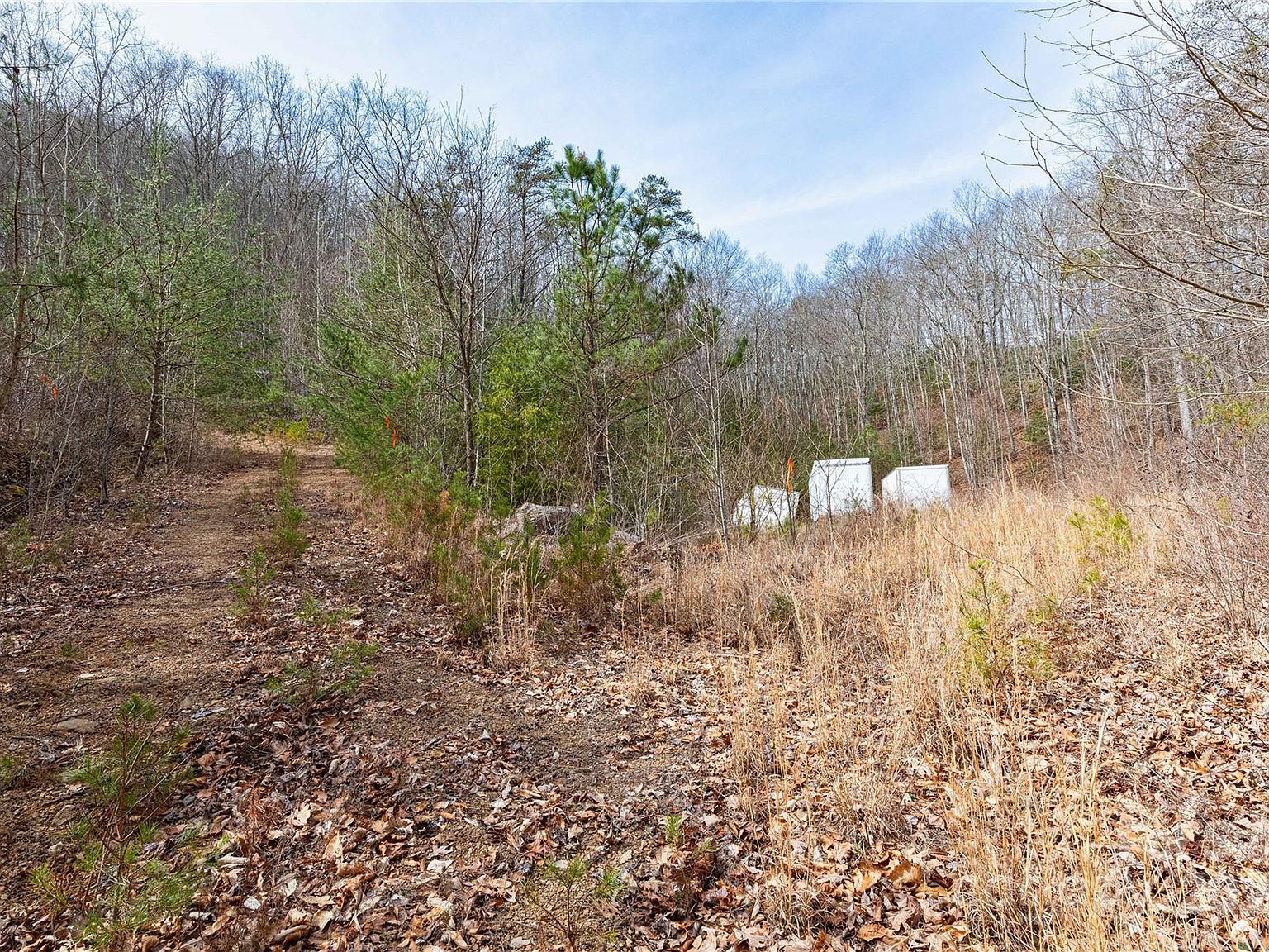 48 Houdini Trl Canton, NC 28716 - Thumbnail 4