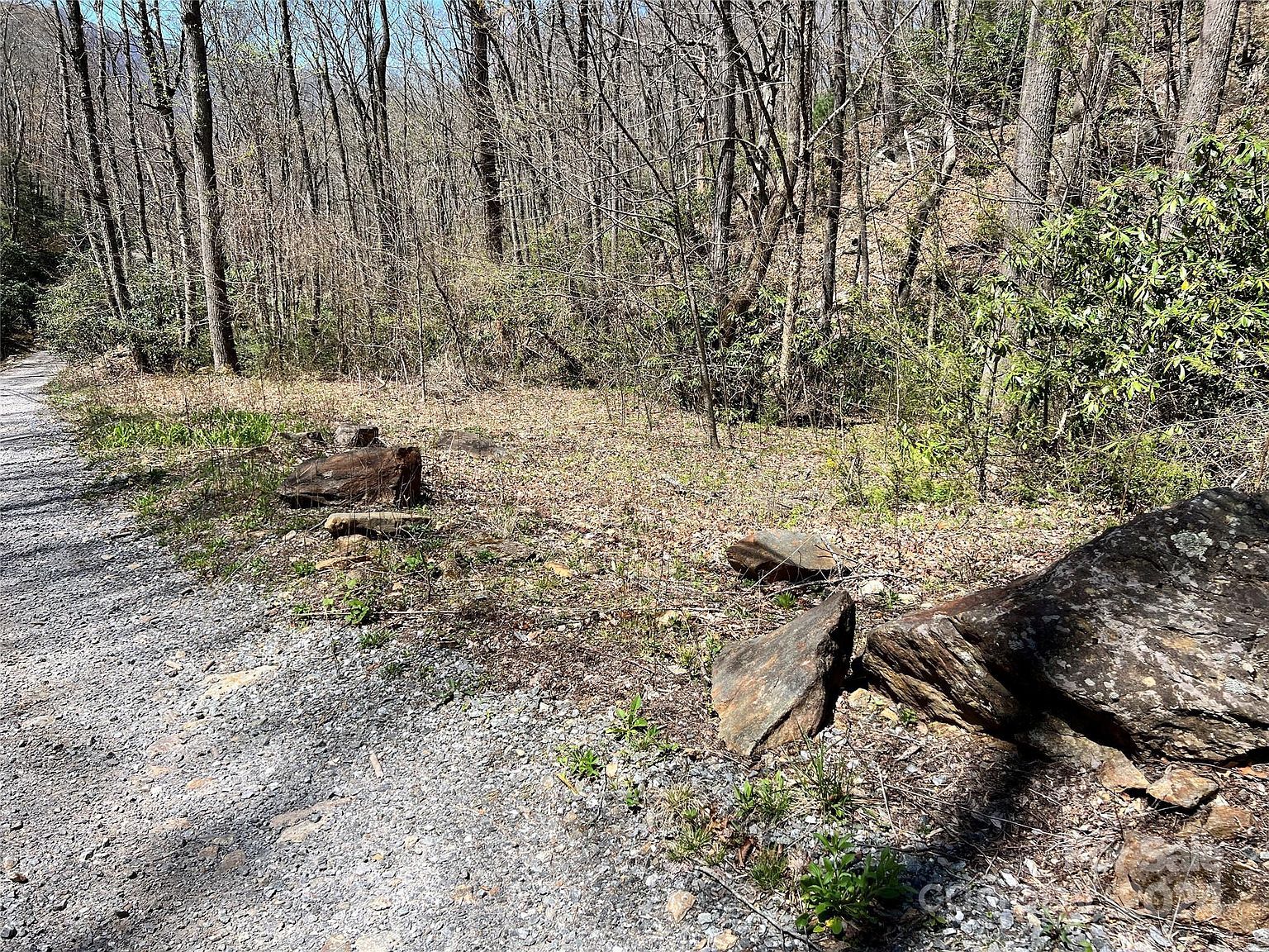 0 Pisgah Mountain Rd Canton, NC 28716 - Thumbnail 4