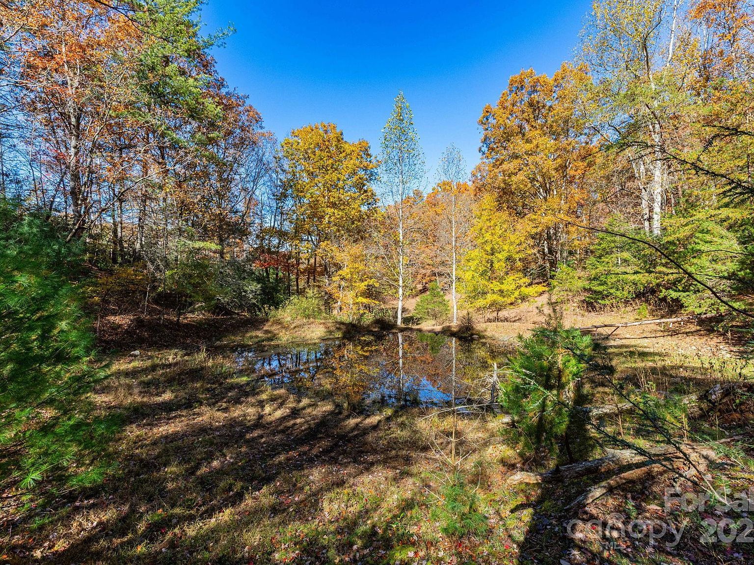 671 Island Hollow Rd Hot Springs, NC 28743 - Thumbnail 4