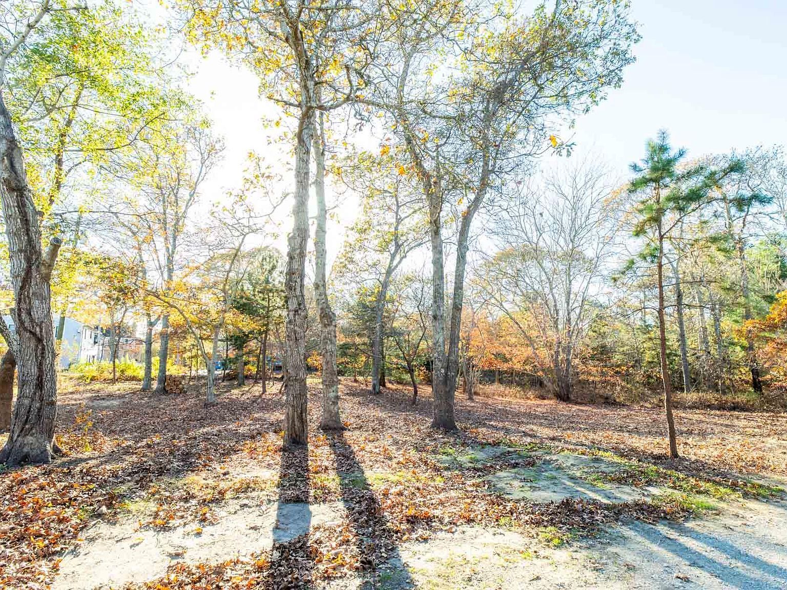 0 Barnes Rd Oak Bluffs, MA 02557 - Thumbnail 4