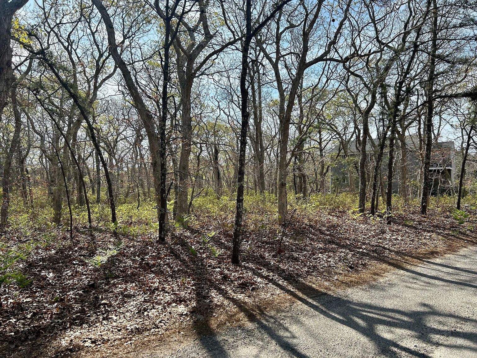 11 Boylston Dr Edgartown, MA 02539 - Thumbnail 4