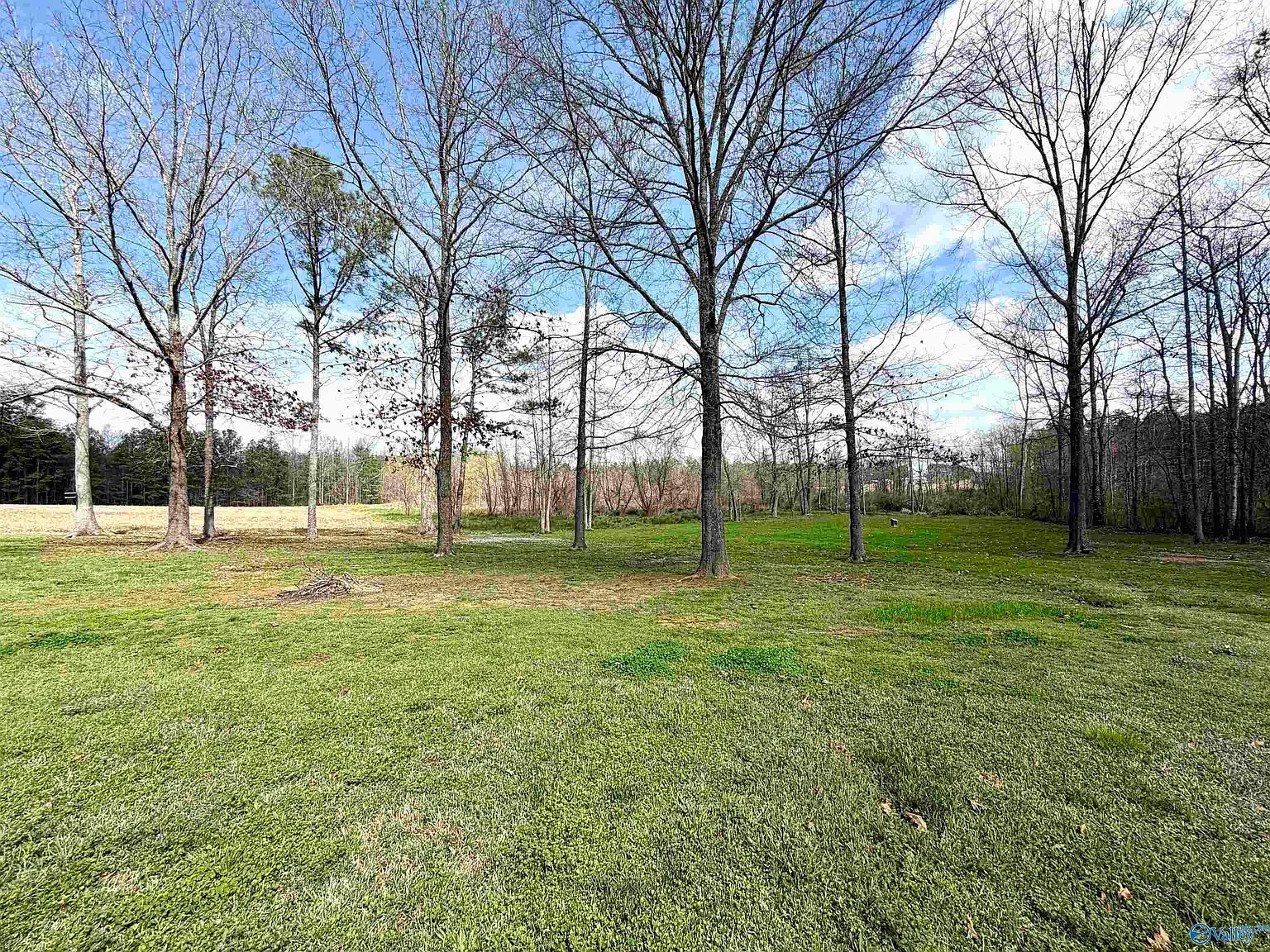 510 County Road 65 Cedar Bluff, AL 35960 - Thumbnail 4