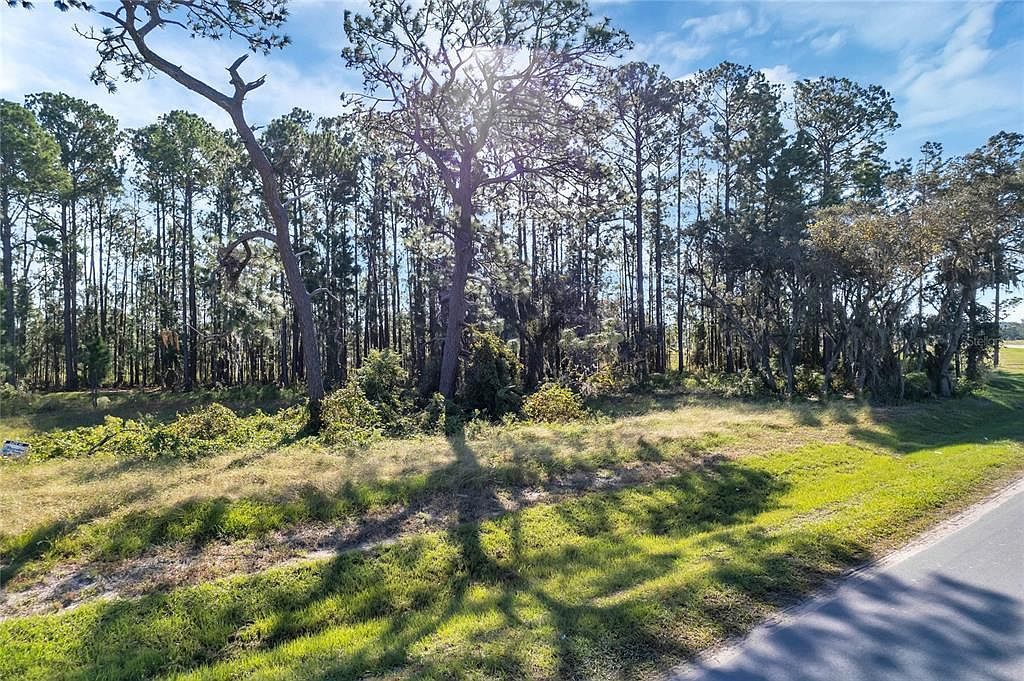 38514 Wooded Meadow Dr #42 Umatilla, FL 32784 - Thumbnail 4