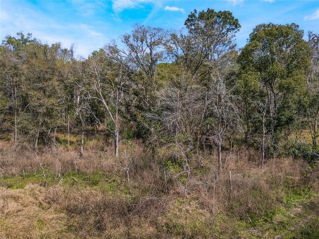 2208 Eisenhower St #32 Inverness, FL 34453 - Thumbnail 4