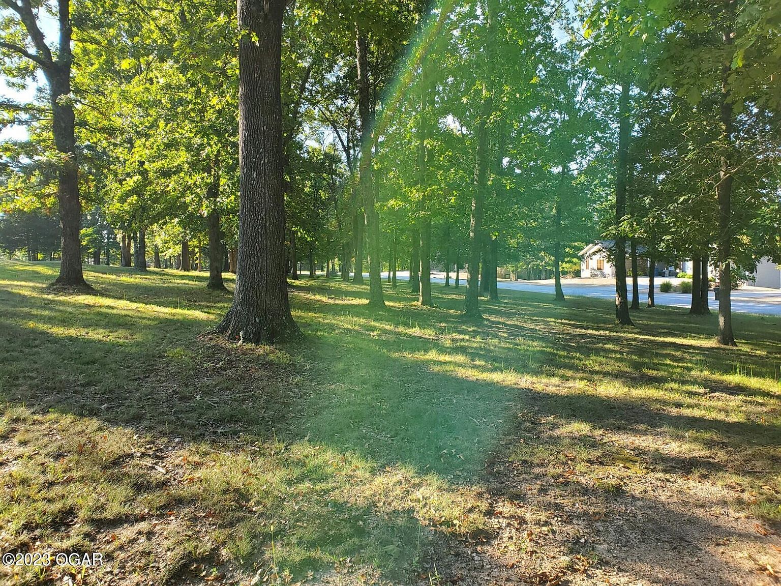 22009 Mill Creek Way Shell Knob, MO 65747 - Thumbnail 4