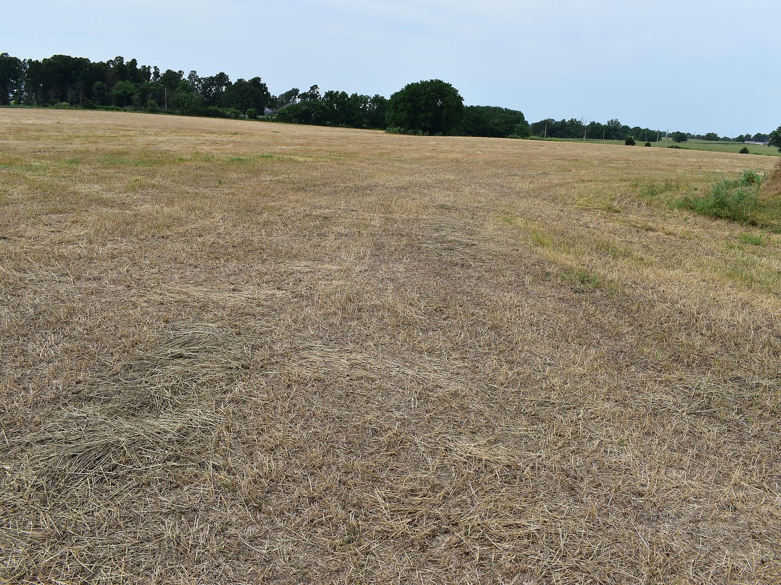 S Eisenhower Monett, MO 65708 - Thumbnail 4