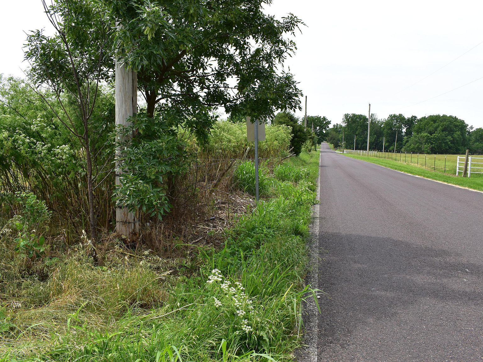 South Eisenhower Monett, MO 65708 - Thumbnail 4