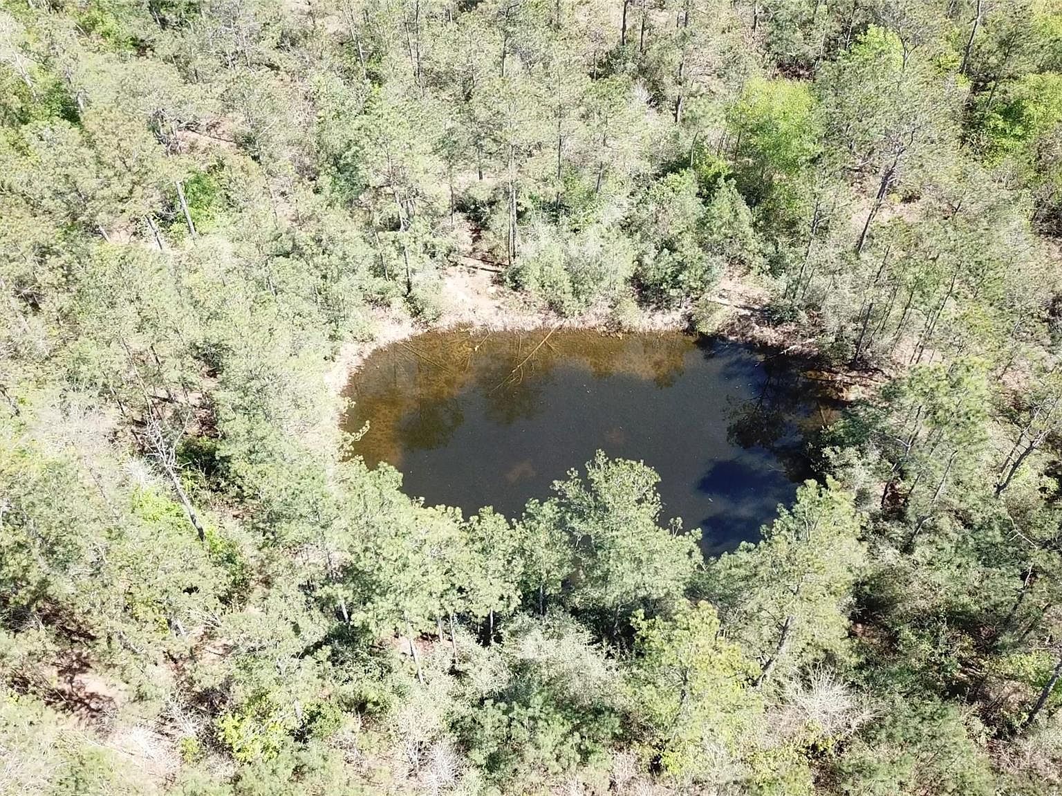 0 Langham Rd, Kountze, TX, 77625 - Thumbnail 4