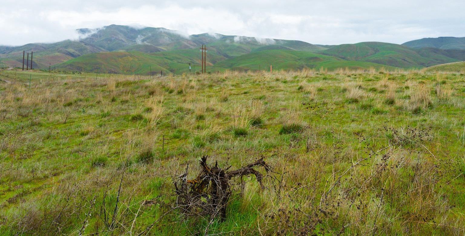 Tax Lockett Rd Lot 15854 Ontario, OR 97914 - Thumbnail 4