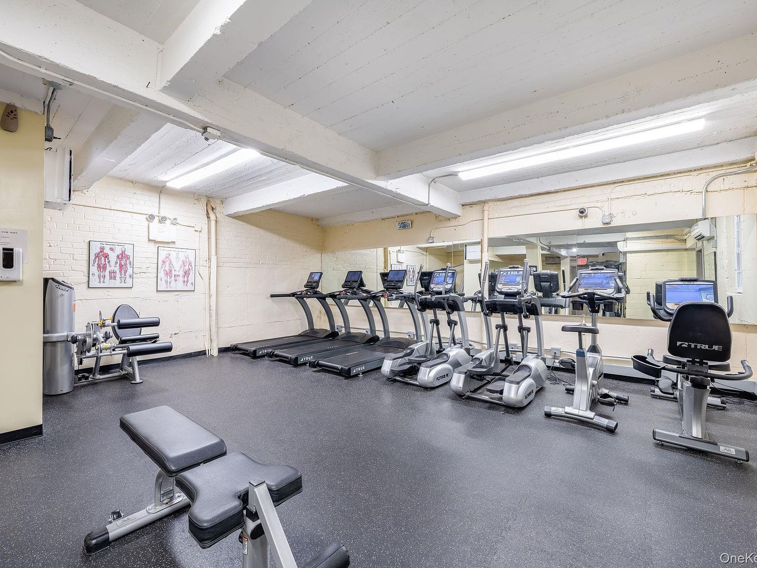 84-01 Main St #107 Jamaica, NY 11435 - Thumbnail 4