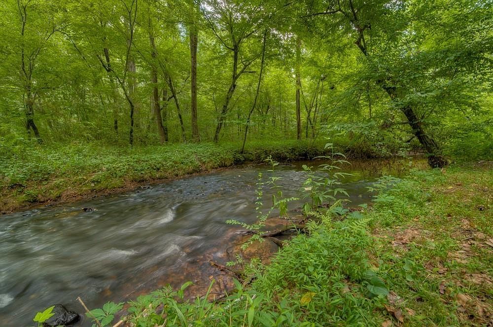 428 Licklog Rd Ellijay, GA 30536 - Thumbnail 4