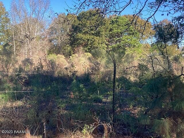 Landry Ln Eunice, LA 70535 - Thumbnail 4