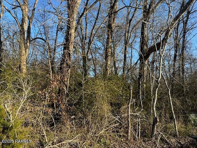 Heard Sylvester Rd Washington, LA 70589 - Thumbnail 4