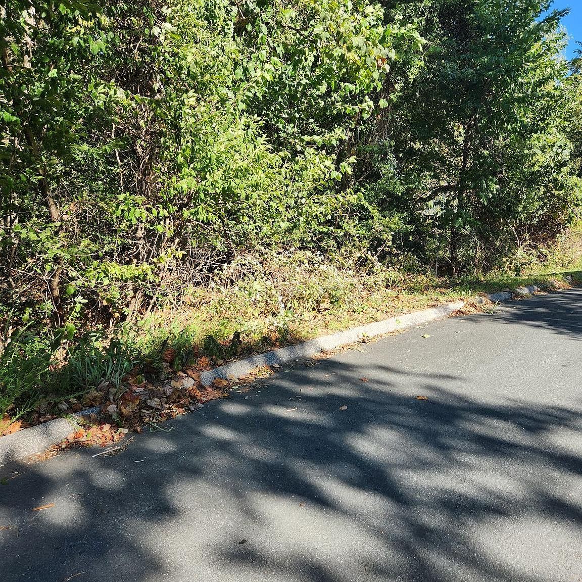 513 Cody Trl Lusby, MD 20657 - Thumbnail 4