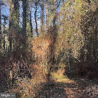 330 Lessin Dr Lusby, MD 20657 - Thumbnail 4