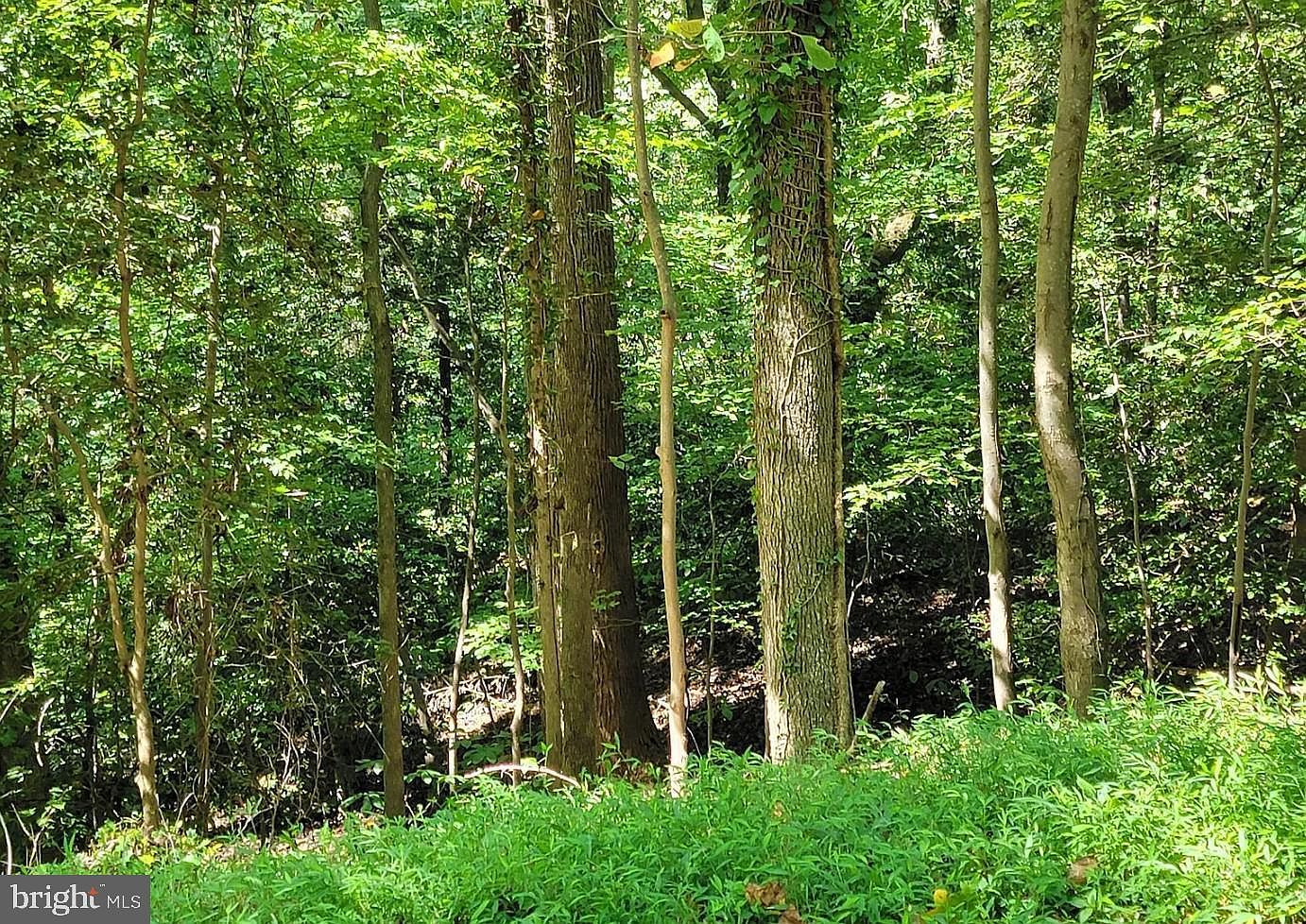 8406 Manor View Rd Lusby, MD 20657  | Land/Lot