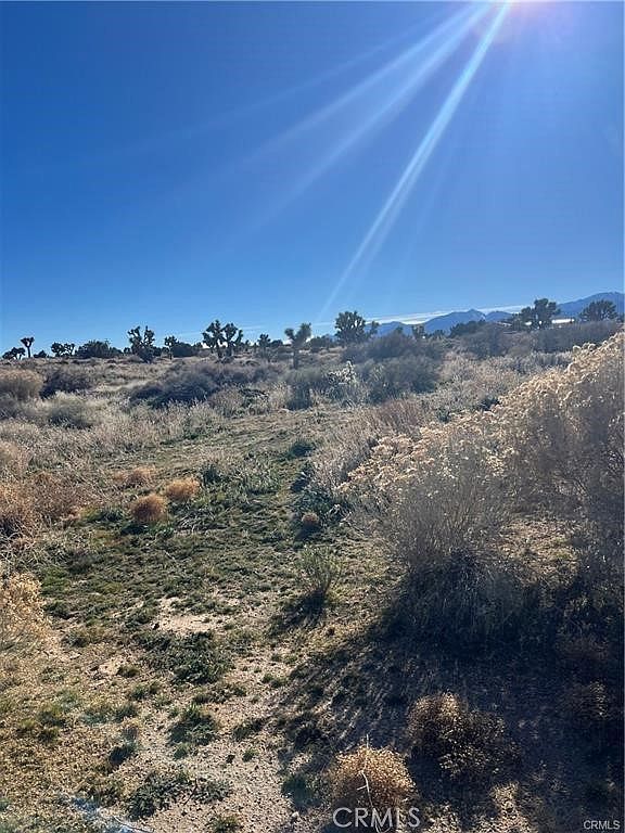 0 Tricobble Ct Phelan, CA 92371  | Land/Lot