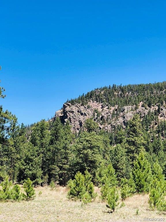 133 Canyon View Dr LOT 133 Antonito, CO 81120 - Thumbnail 4