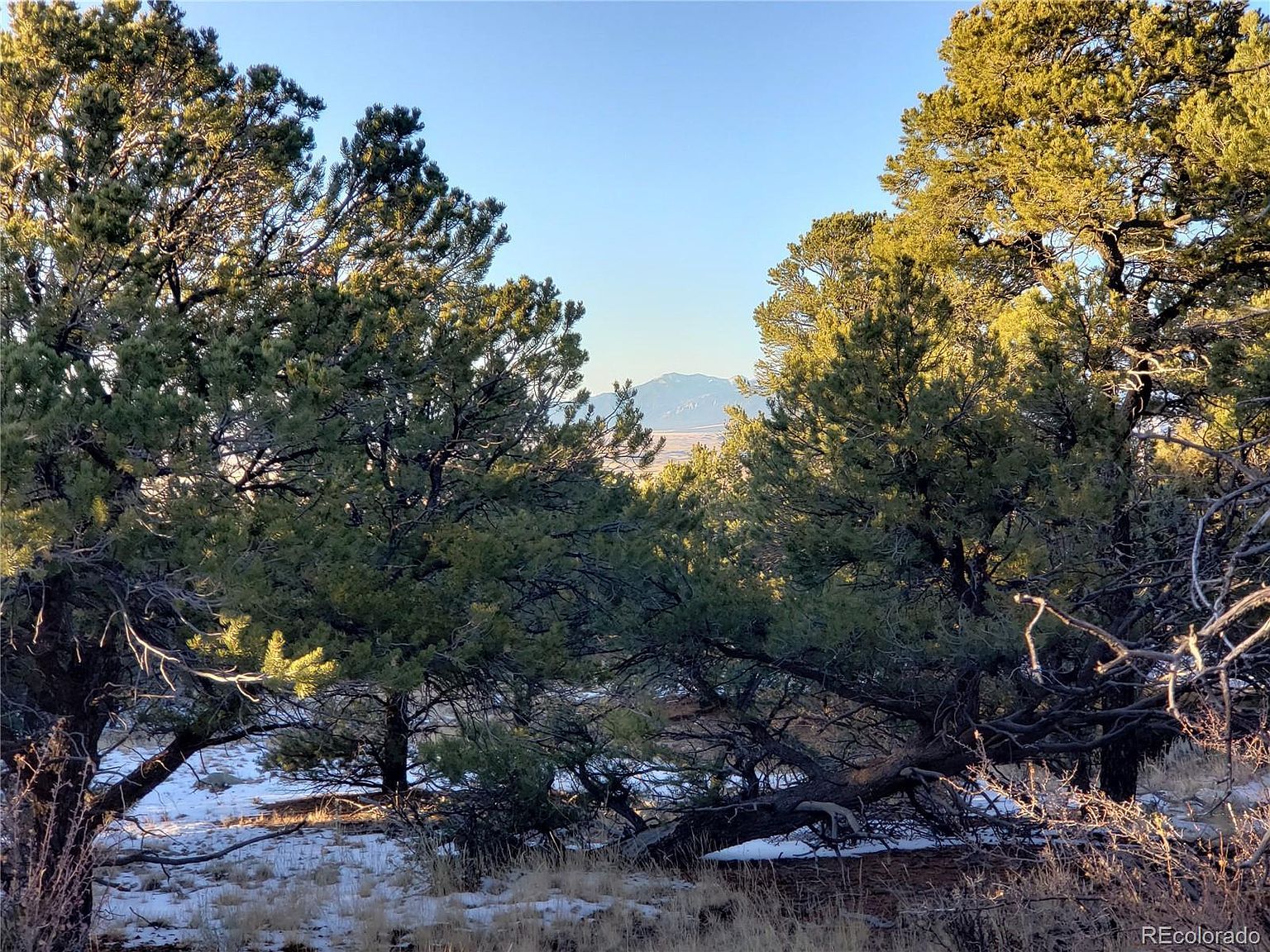 107 Ute Dr UNIT 2 Mosca, CO 81146 - Thumbnail 4