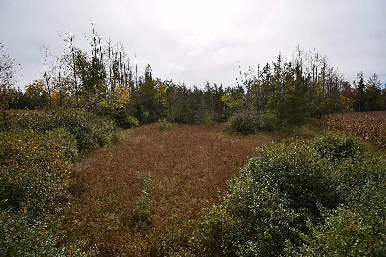 LOT 1 Old Highway 8 Laona, WI 54541 - Thumbnail 4