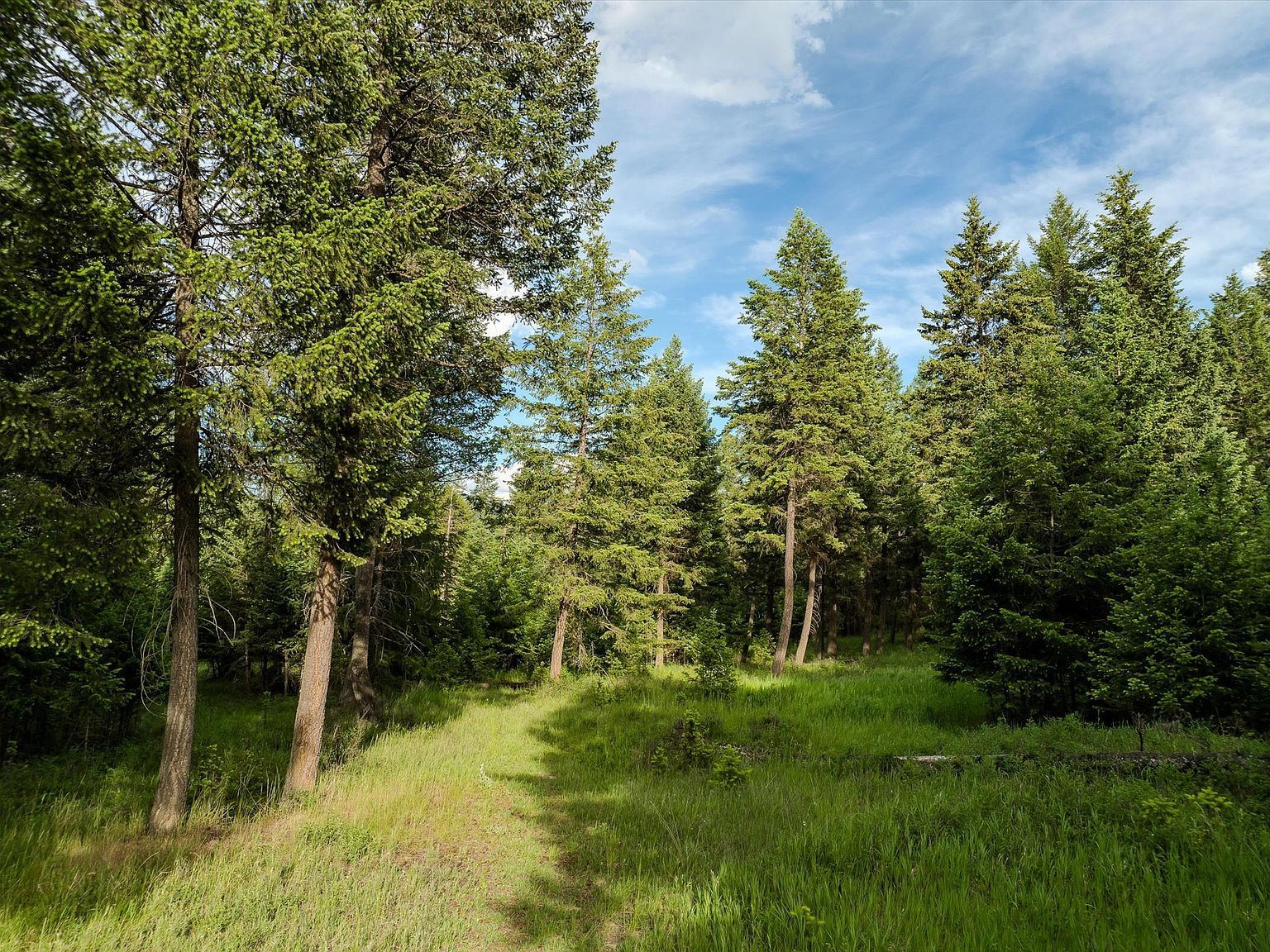 109 Lidstrom Rd, Whitefish, MT, 59937 - Thumbnail 4