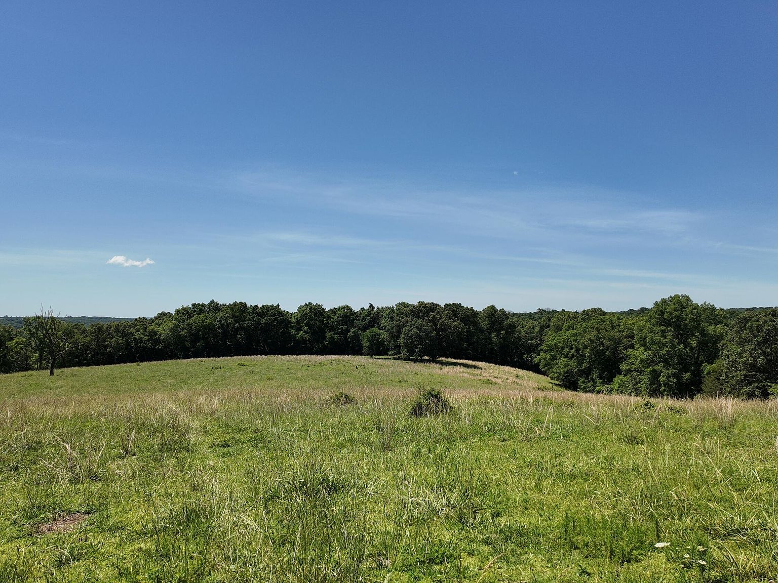 0 County Road 945 Thornfield, MO 65762 - Thumbnail 4