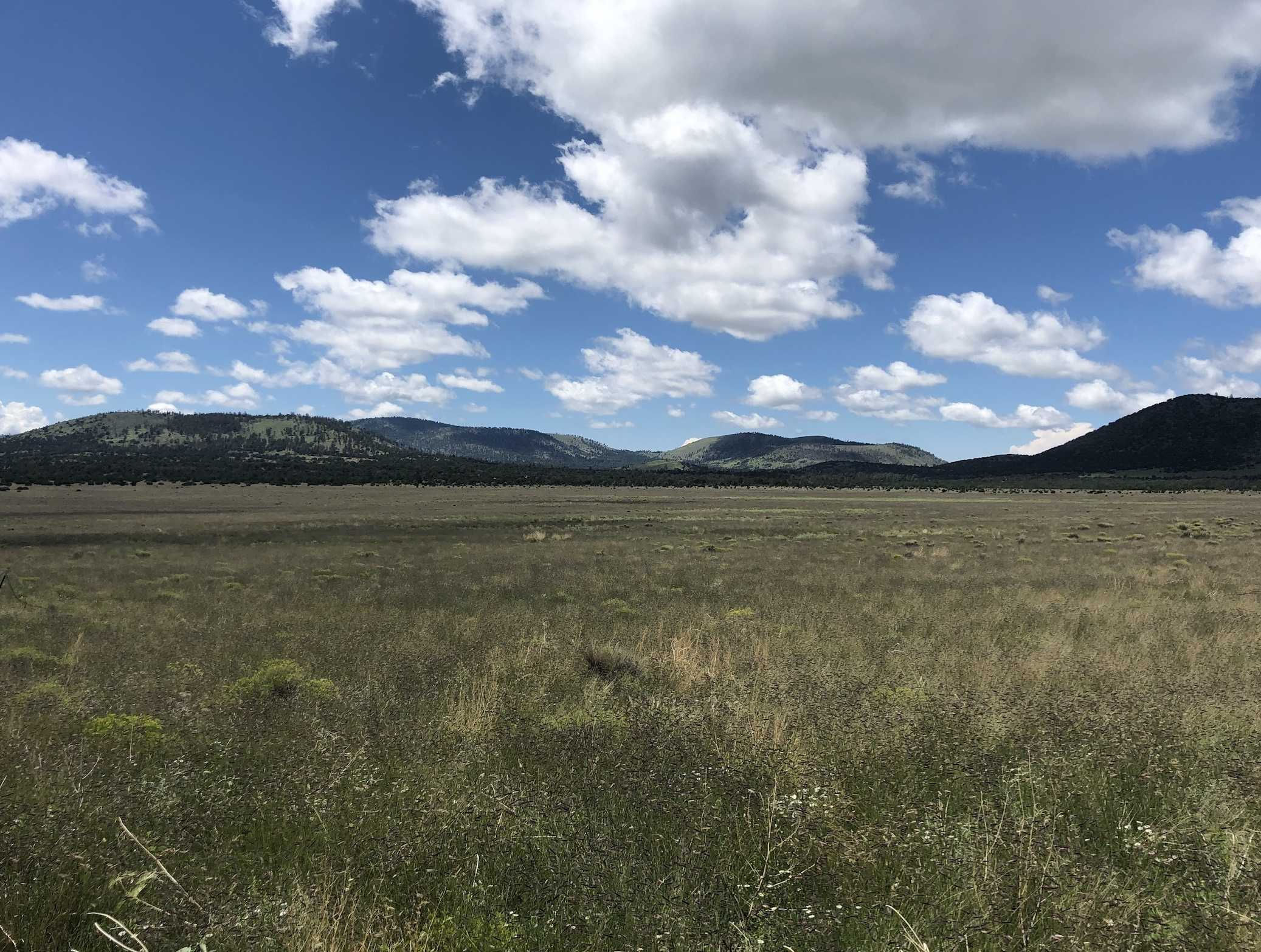 548 Forest Service Road, Flagstaff, AZ 86001, USA - Thumbnail 4