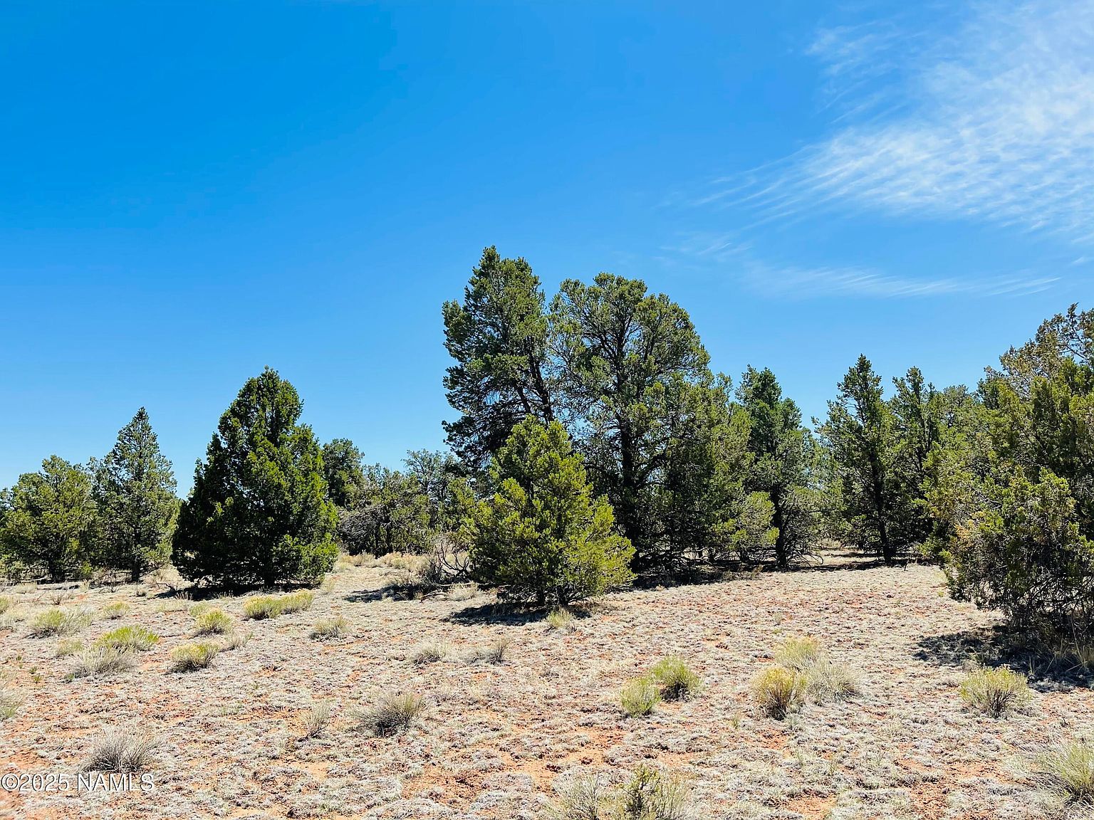 5390 N Windy Walk Way Williams, AZ 86046 - Thumbnail 4