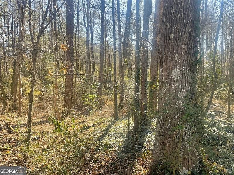 2115 Logan Dr Jonesboro, GA 30236 - Thumbnail 4