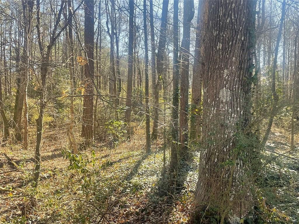 2115 Logan Dr #42 Jonesboro, GA 30236 - Thumbnail 4